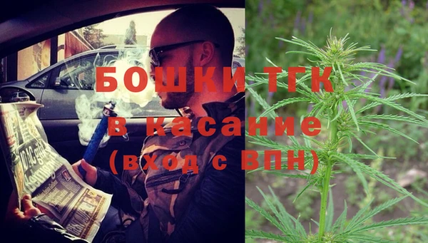 сатива Беслан