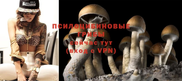 соль курить ск Бикин