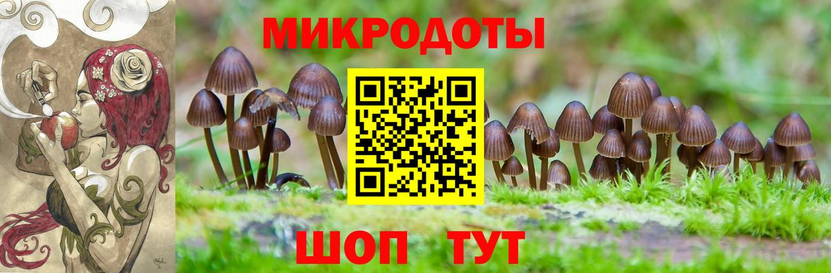 Псилоцибиновые грибы Cubensis Нефтеюганск